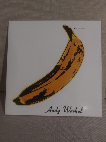 Andy warhol the - andy, velvet